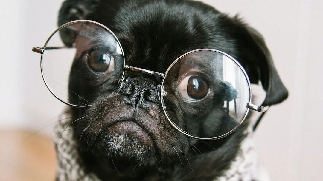 How much Common Sense do you have?