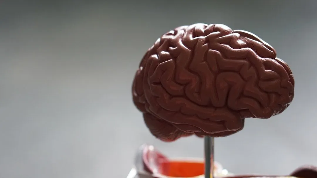 What is Your Brain Actually Good At?