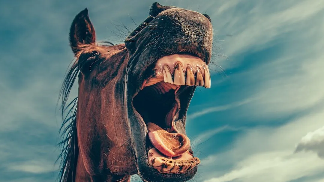 How interesting are you?